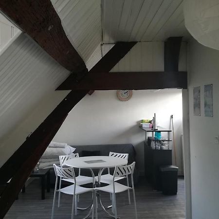 Appartement Spacieux Vue Sur Loire Proche Du Centre Blois Exterior foto