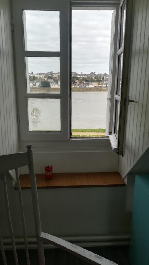 Appartement Spacieux Vue Sur Loire Proche Du Centre Blois Exterior foto